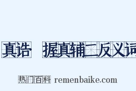 真诰·握真辅二反义词是什么意思的图片